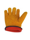 Winter Gloves